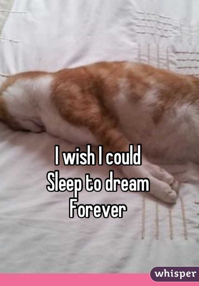 I wish I could 
Sleep to dream
Forever