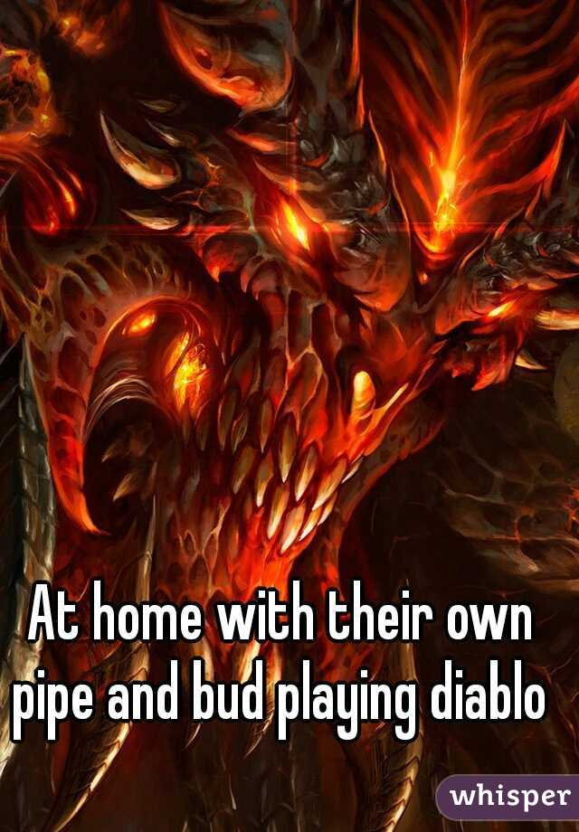 At home with their own pipe and bud playing diablo 3