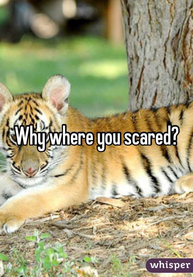 Why where you scared?
