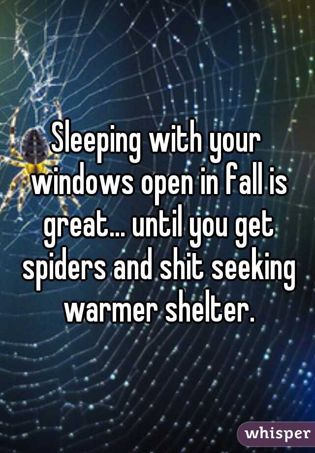 Sleeping with your windows open in fall is great... until you get spiders and shit seeking warmer shelter.