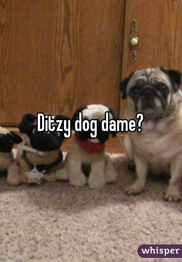 Ditzy dog dame?