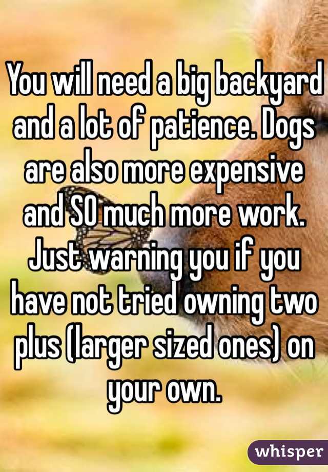 You will need a big backyard and a lot of patience. Dogs are also more expensive and SO much more work. Just warning you if you have not tried owning two plus (larger sized ones) on your own.