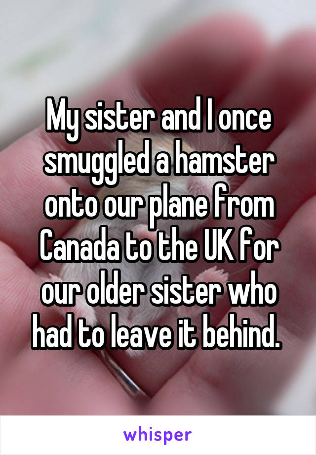 My sister and I once smuggled a hamster onto our plane from Canada to the UK for our older sister who had to leave it behind. 