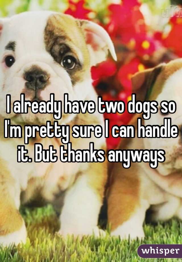 I already have two dogs so I'm pretty sure I can handle it. But thanks anyways