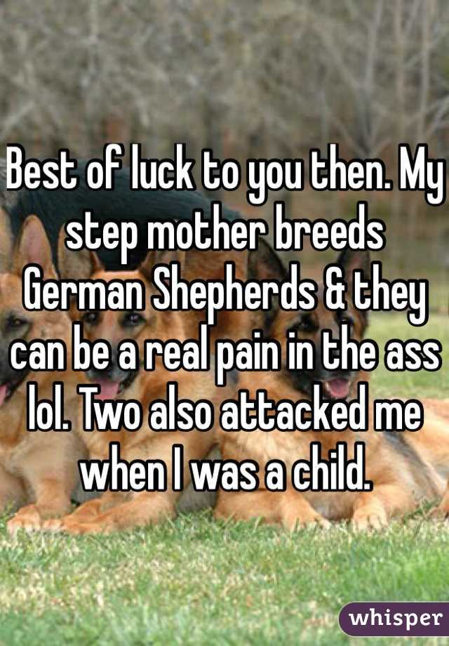 Best of luck to you then. My step mother breeds German Shepherds & they can be a real pain in the ass lol. Two also attacked me when I was a child.