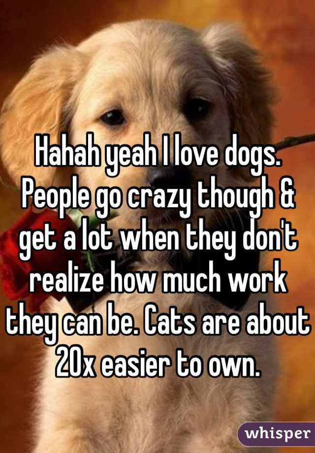 Hahah yeah I love dogs. People go crazy though & get a lot when they don't realize how much work they can be. Cats are about 20x easier to own.