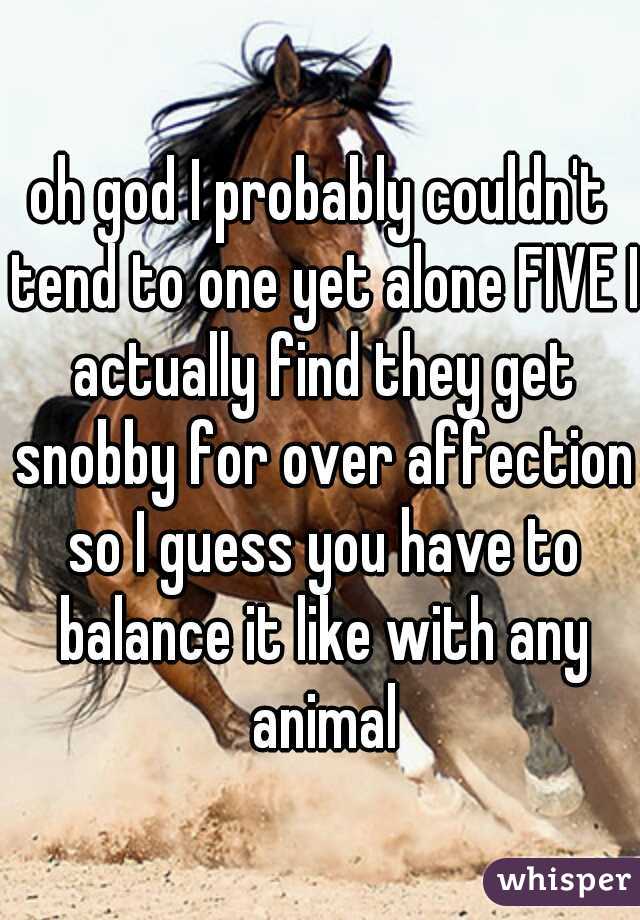 oh god I probably couldn't tend to one yet alone FIVE I actually find they get snobby for over affection so I guess you have to balance it like with any animal