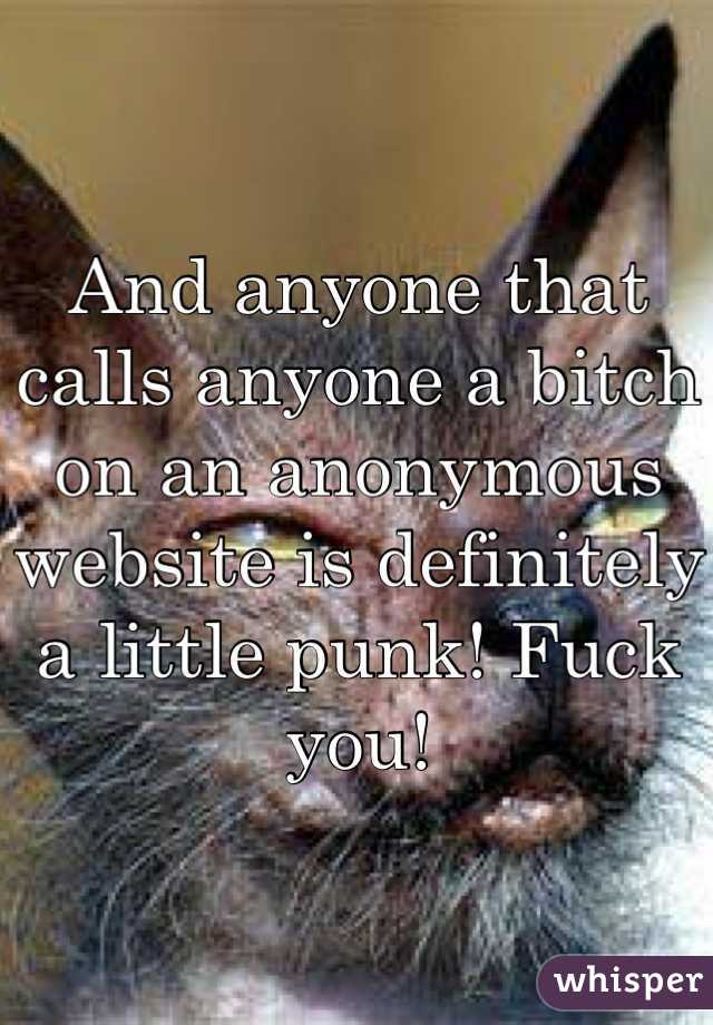 And anyone that calls anyone a bitch on an anonymous website is definitely a little punk! Fuck you!