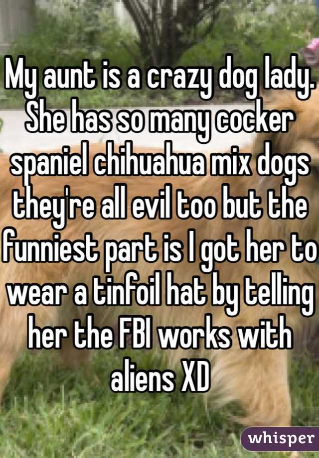 My aunt is a crazy dog lady. She has so many cocker spaniel chihuahua mix dogs they're all evil too but the funniest part is I got her to wear a tinfoil hat by telling her the FBI works with aliens XD