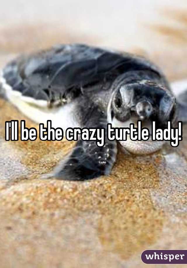 I'll be the crazy turtle lady!