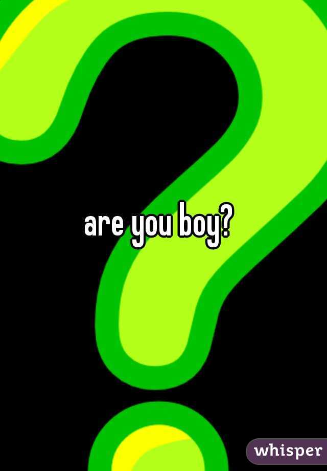 are you boy? 