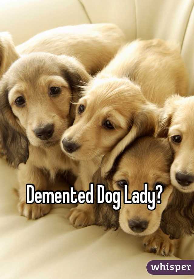 Demented Dog Lady? 