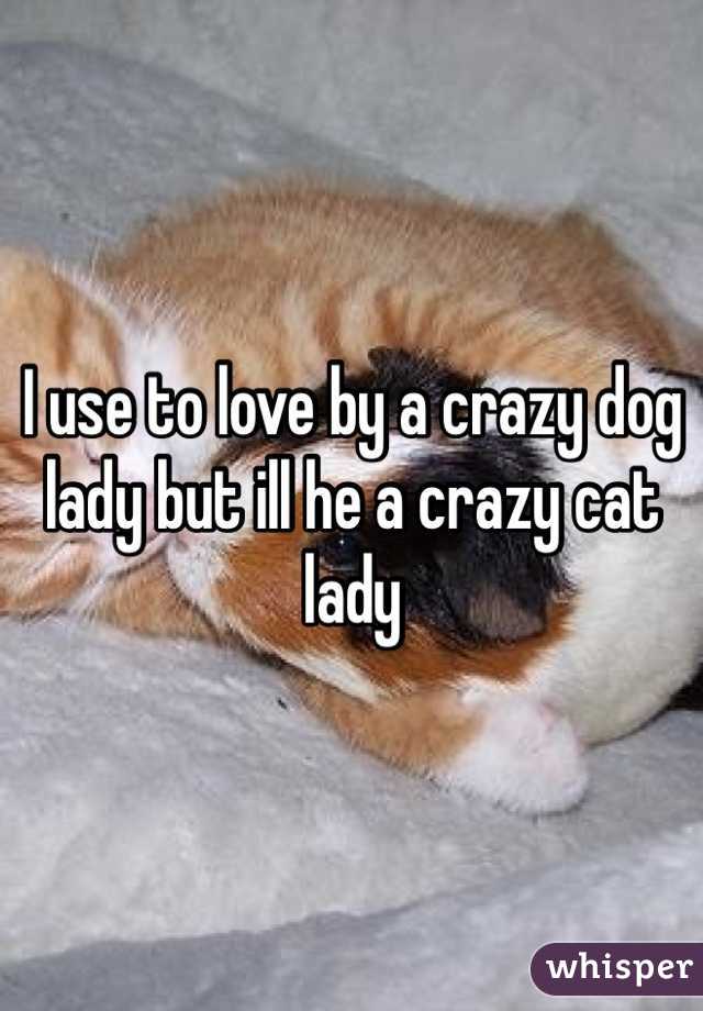 I use to love by a crazy dog lady but ill he a crazy cat lady