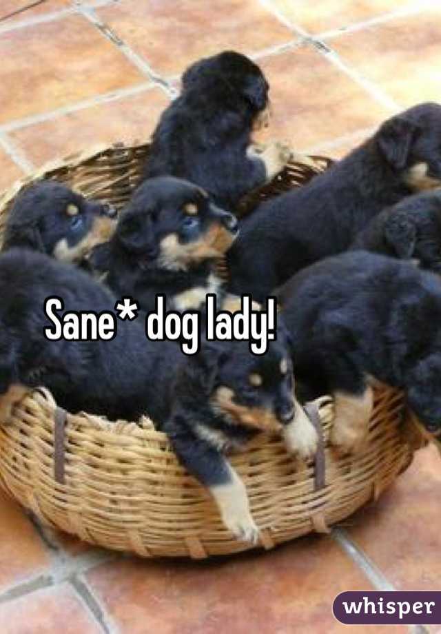 Sane* dog lady! 