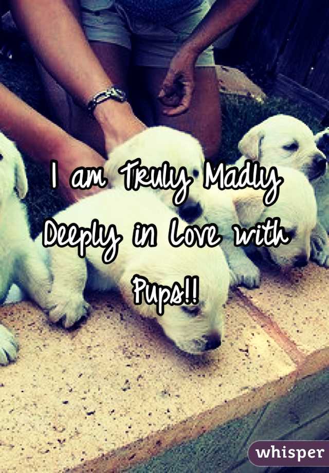 I am Truly Madly Deeply in Love with Pups!!