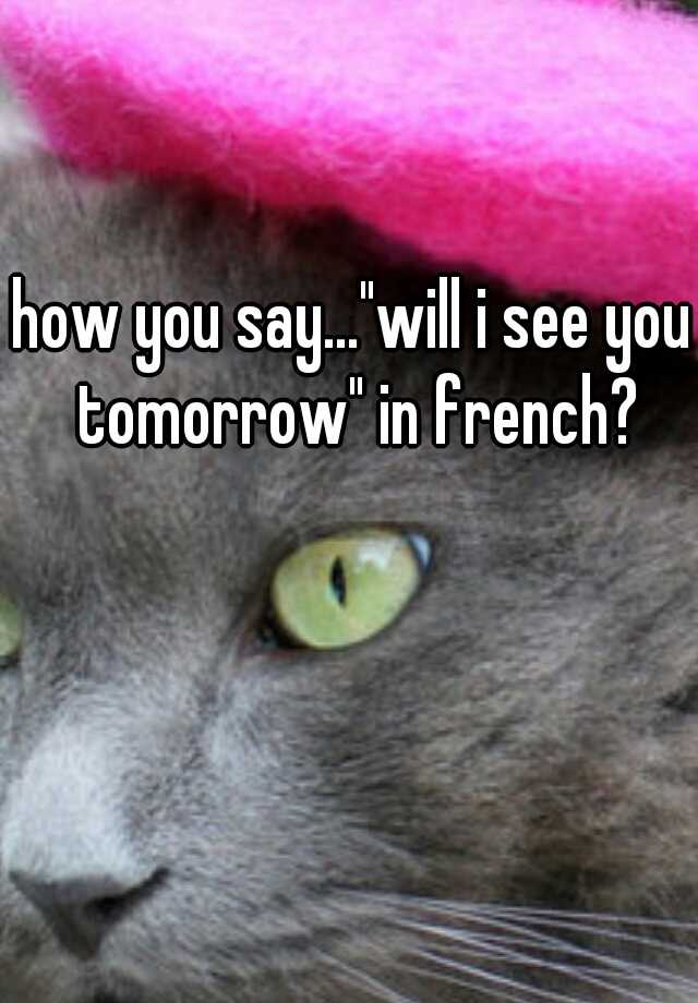 how-you-say-will-i-see-you-tomorrow-in-french