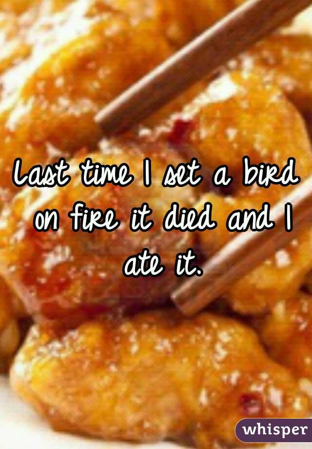 Last time I set a bird on fire it died and I ate it.