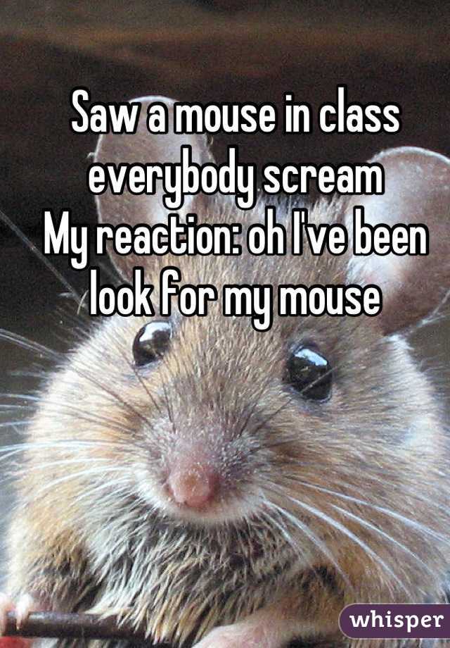 Saw a mouse in class everybody scream
My reaction: oh I've been look for my mouse