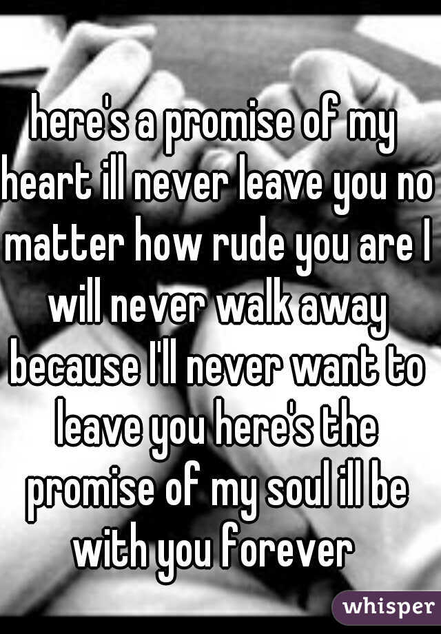 here's a promise of my heart ill never leave you no matter how rude you are I will never walk away because I'll never want to leave you here's the promise of my soul ill be with you forever 