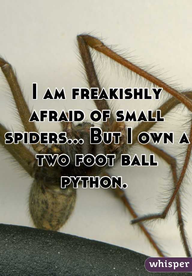 I am freakishly afraid of small spiders... But I own a two foot ball python. 