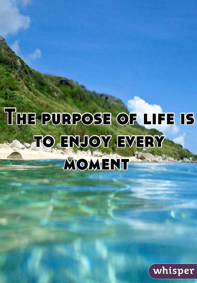 The purpose of life is to enjoy every moment 