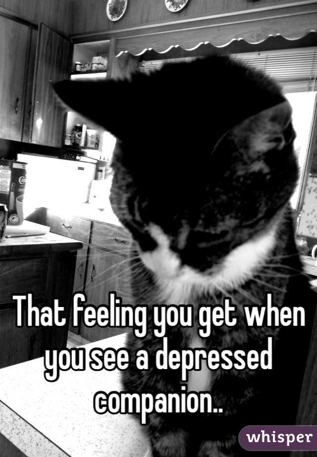 





That feeling you get when you see a depressed companion..