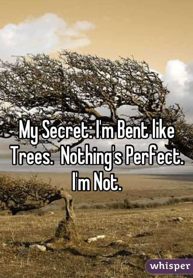 My Secret: I'm Bent like Trees.  Nothing's Perfect.  I'm Not.