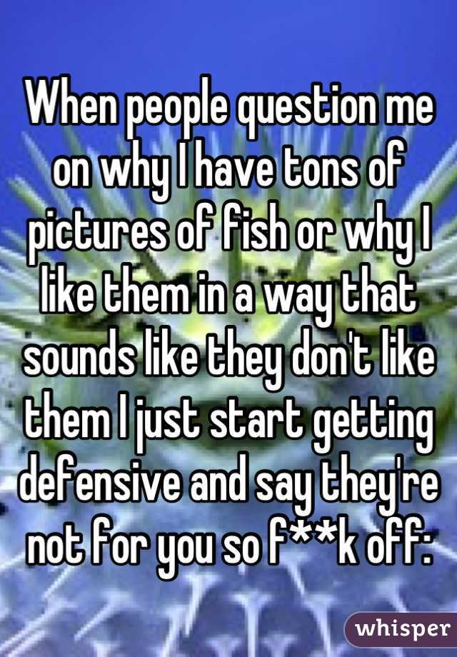 When people question me on why I have tons of pictures of fish or why I like them in a way that sounds like they don't like them I just start getting defensive and say they're not for you so f**k off: