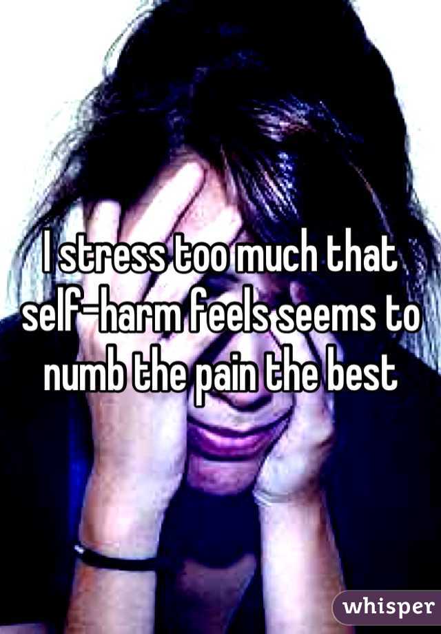 I stress too much that self-harm feels seems to numb the pain the best