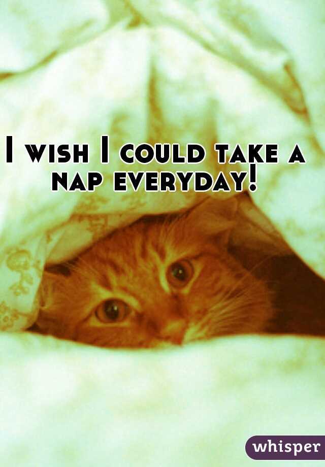 I wish I could take a nap everyday! 