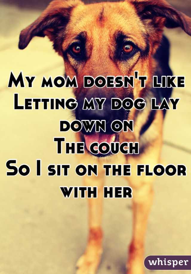 My mom doesn't like
Letting my dog lay down on
The couch 
So I sit on the floor with her
