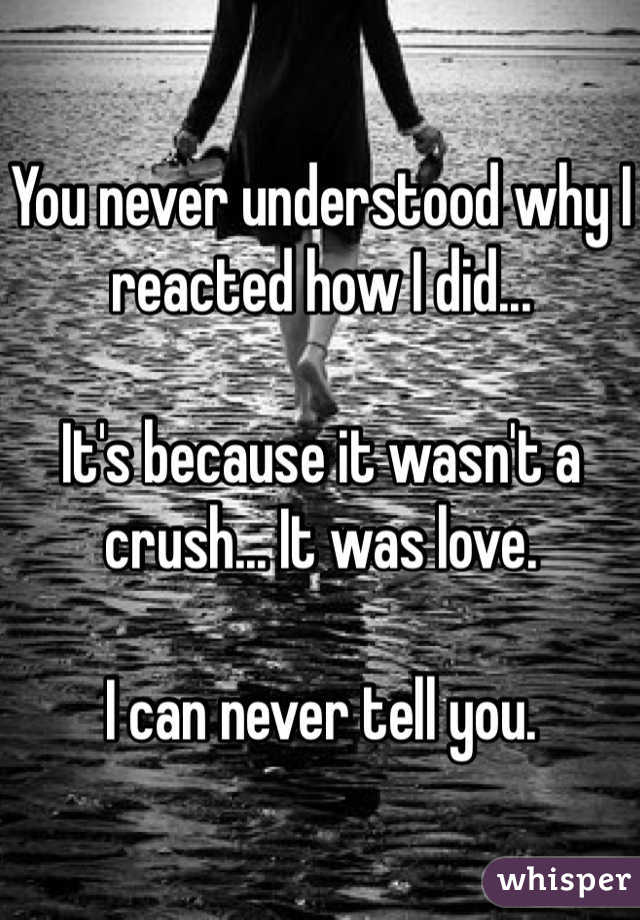 You never understood why I reacted how I did... 

It's because it wasn't a crush... It was love. 

I can never tell you. 