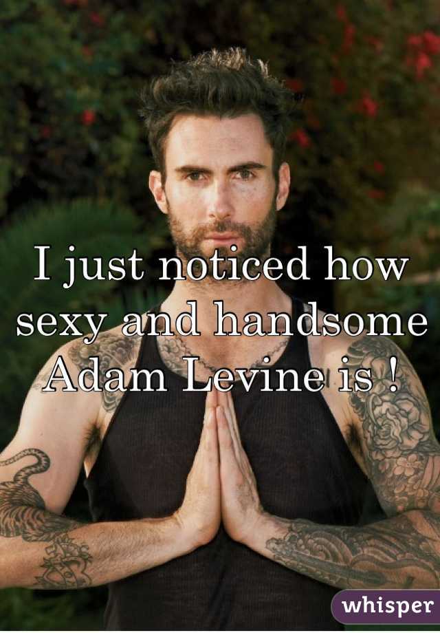 I just noticed how sexy and handsome Adam Levine is !