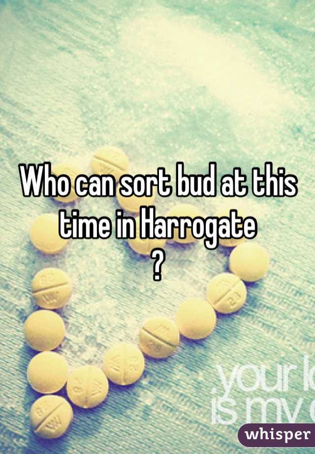 Who can sort bud at this time in Harrogate 
? 