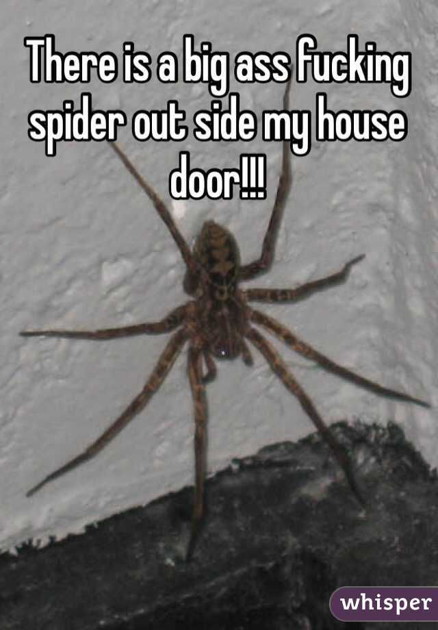 There is a big ass fucking spider out side my house door!!!