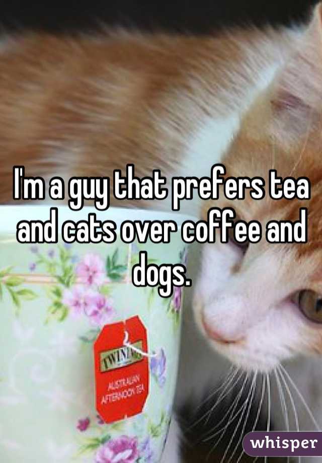 I'm a guy that prefers tea and cats over coffee and dogs.