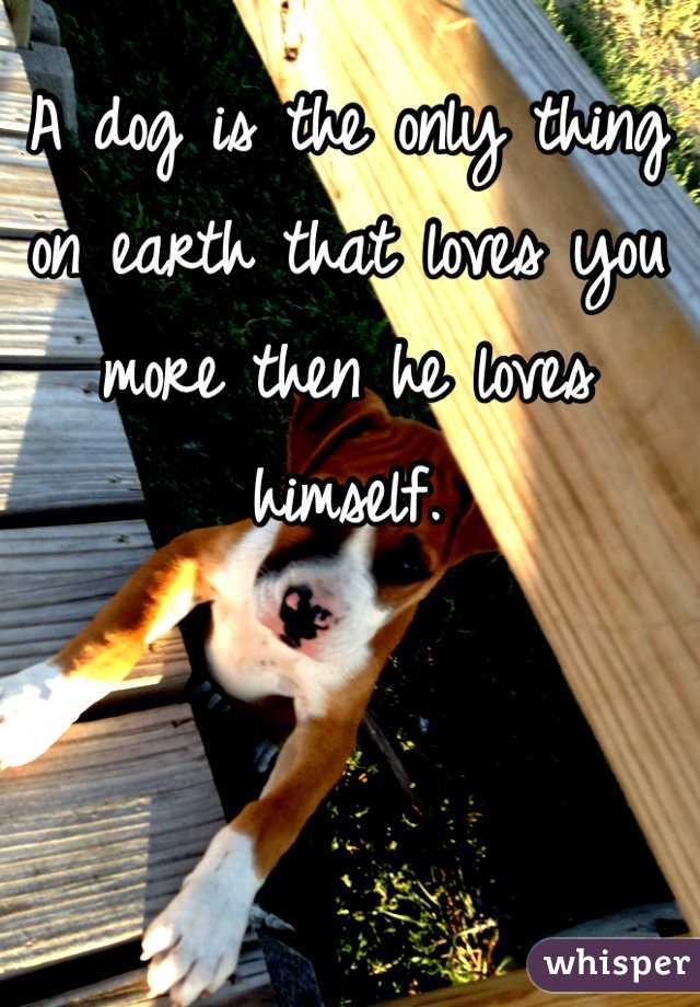 A dog is the only thing on earth that loves you more then he loves himself. 