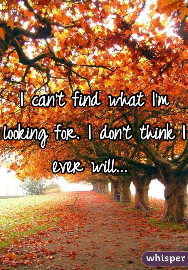 I can't find what I'm looking for. I don't think I ever will... 