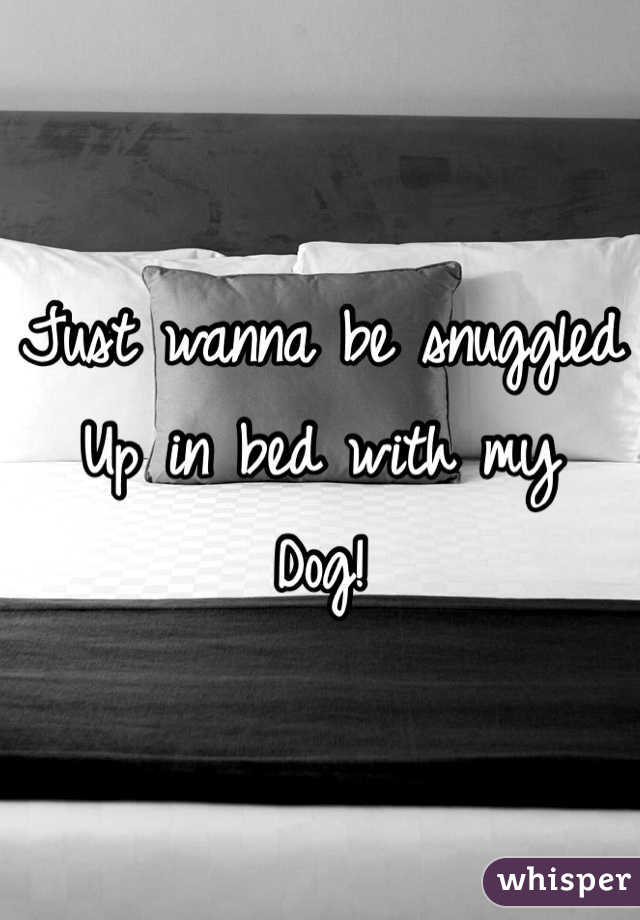 Just wanna be snuggled
Up in bed with my 
Dog!