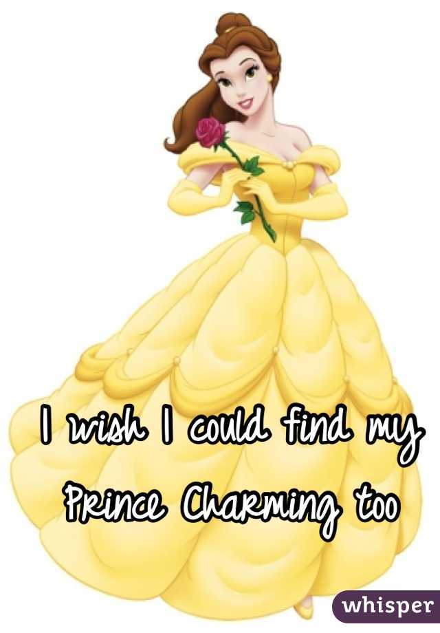 I wish I could find my Prince Charming too 