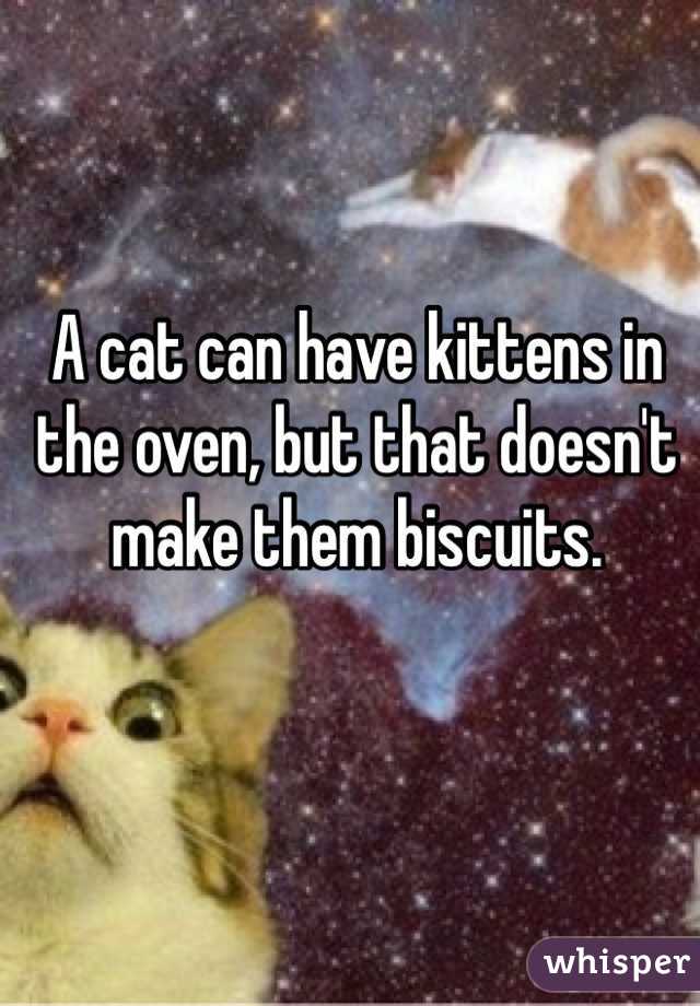 A cat can have kittens in the oven, but that doesn't make them biscuits.
