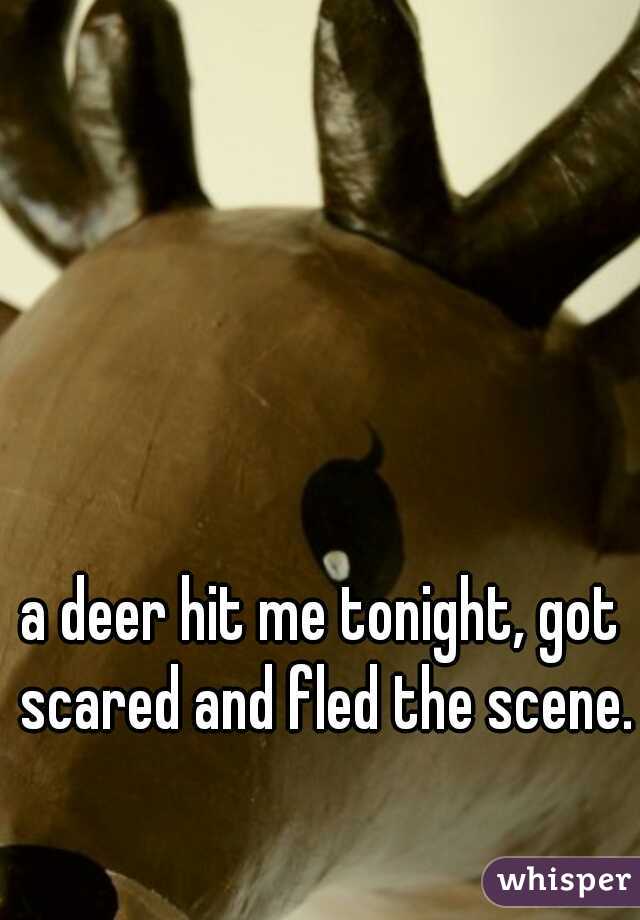 a deer hit me tonight, got scared and fled the scene.