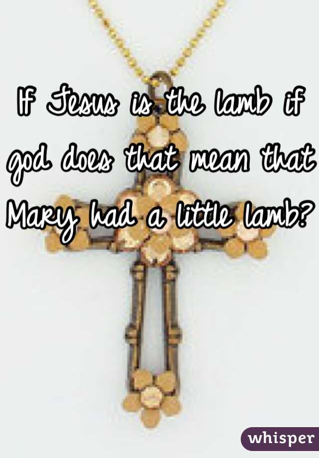 If Jesus is the lamb if god does that mean that Mary had a little lamb?
