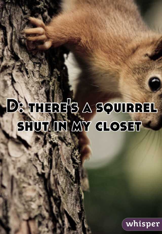 D: there's a squirrel shut in my closet 