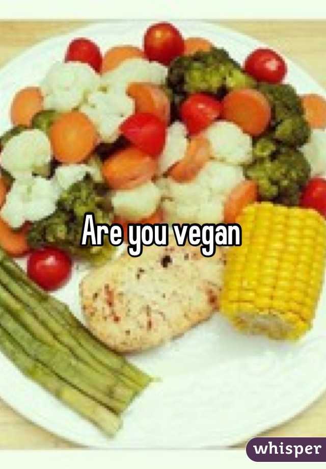 Are you vegan 