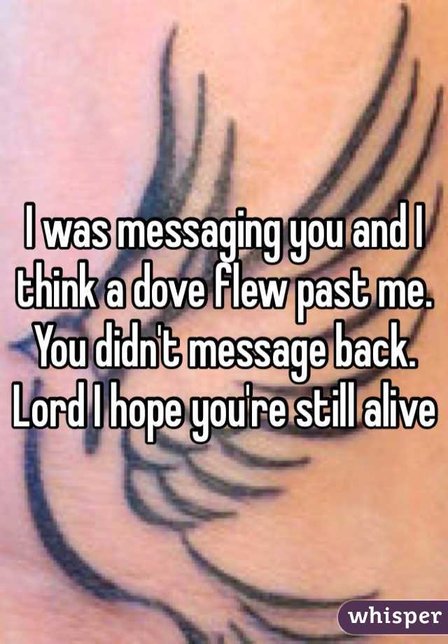 I was messaging you and I think a dove flew past me. You didn't message back. Lord I hope you're still alive