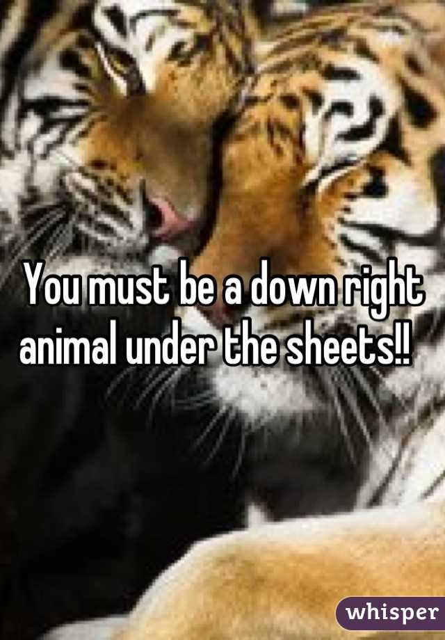 You must be a down right animal under the sheets!!  