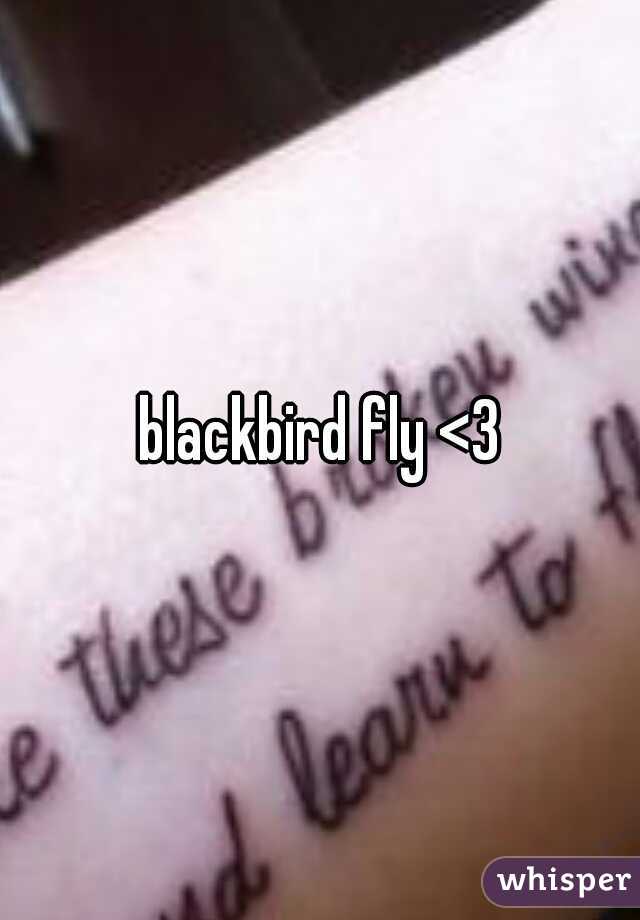 blackbird fly <3