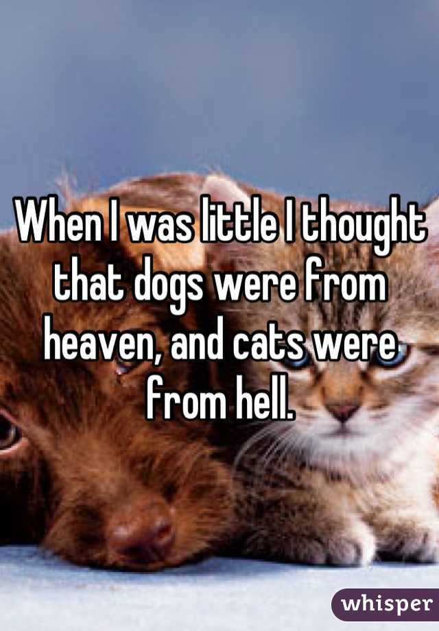 When I was little I thought that dogs were from heaven, and cats were from hell.