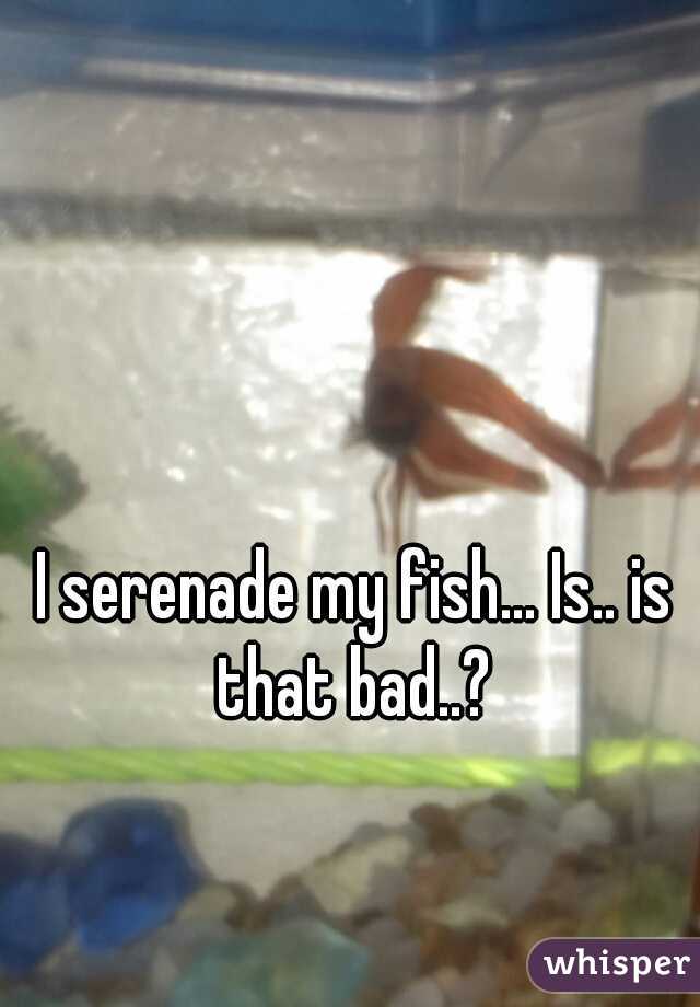 I serenade my fish... Is.. is that bad..? 